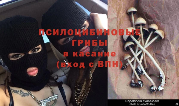 ALPHA PVP Баксан