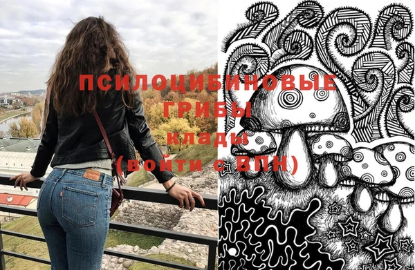 СК Балахна
