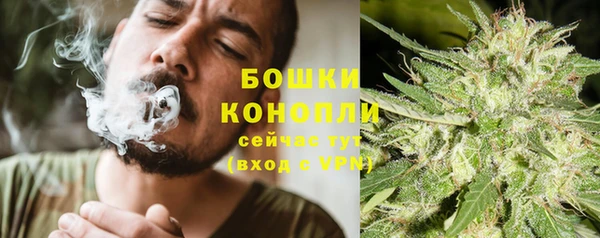 СК Балахна