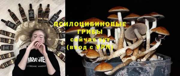 ALPHA PVP Баксан